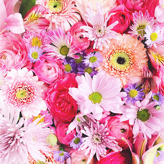 Bloom Bright Spring Flowers FREE Desktop Phone Photo – Mari Orr